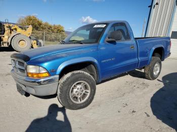  Salvage Dodge Dakota