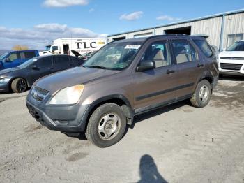  Salvage Honda Crv