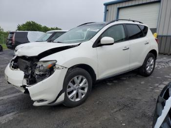  Salvage Nissan Murano