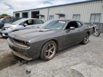  Salvage Dodge Challenger