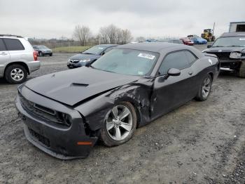  Salvage Dodge Challenger