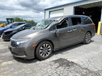  Salvage Honda Odyssey