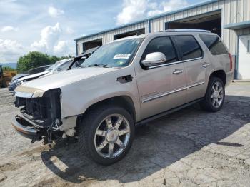  Salvage Cadillac Escalade