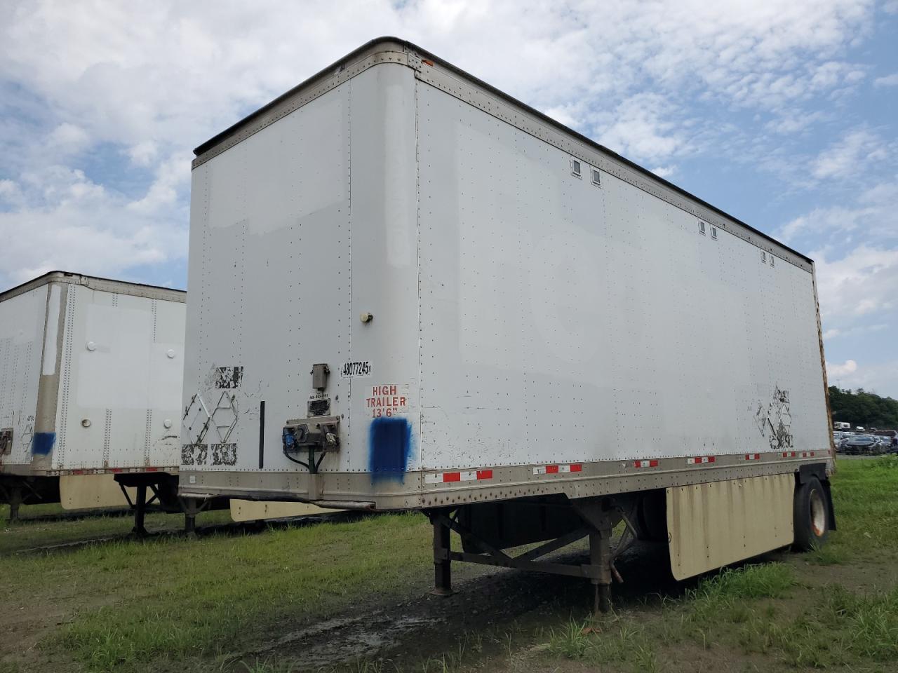 Great Dane Other Image 9