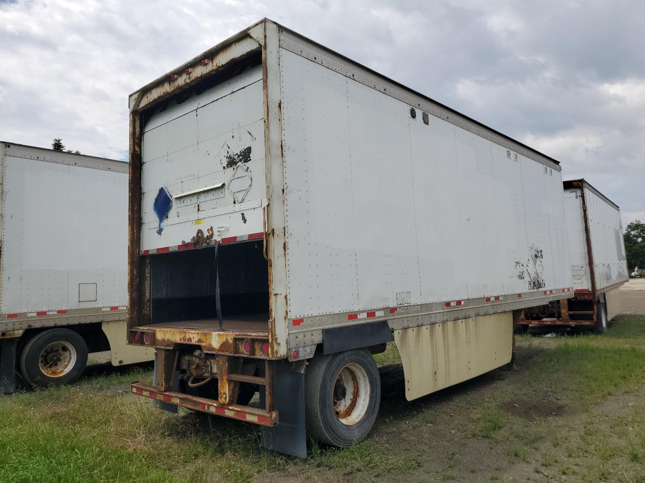 Great Dane Other Image 7