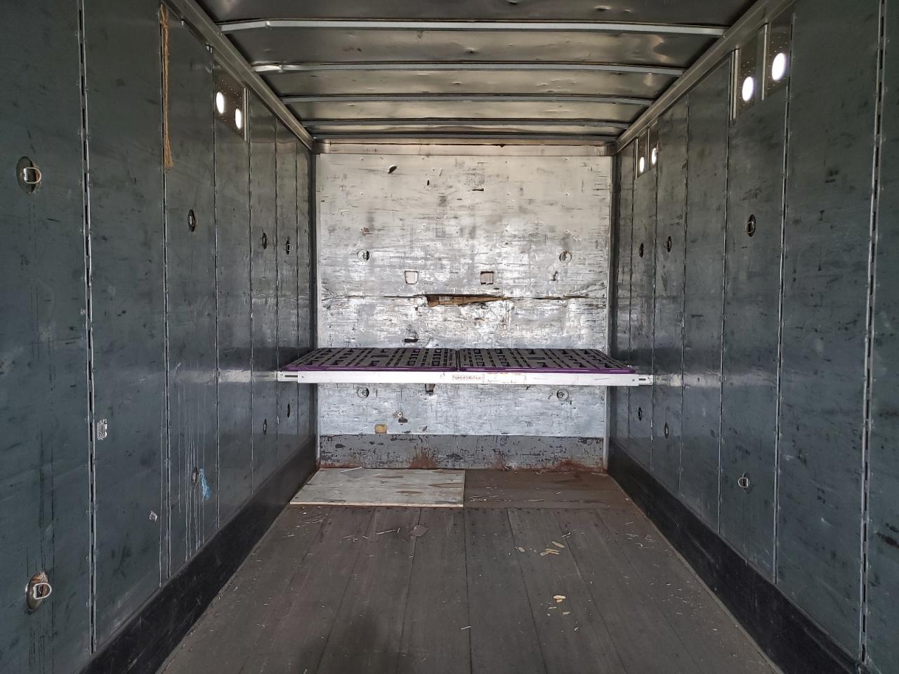 Great Dane Other Image 5