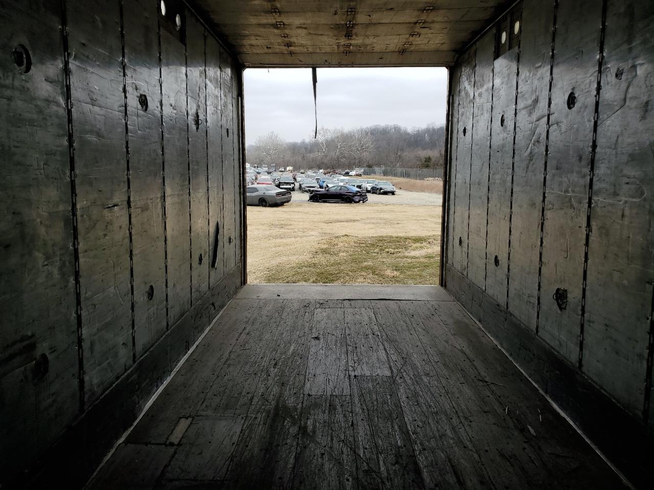 Great Dane Other Image 10