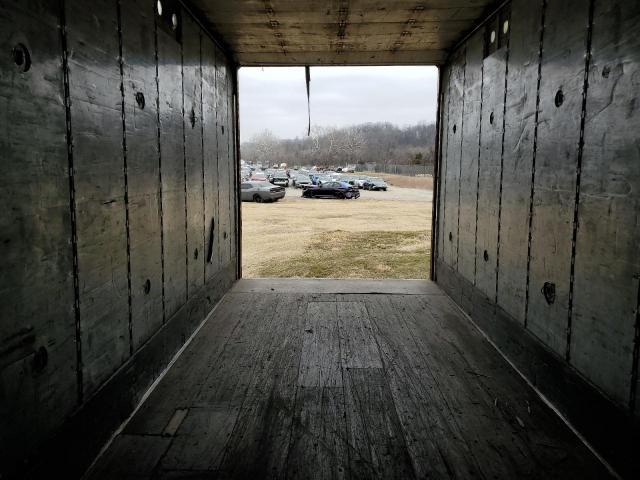 Great Dane Other Image 10