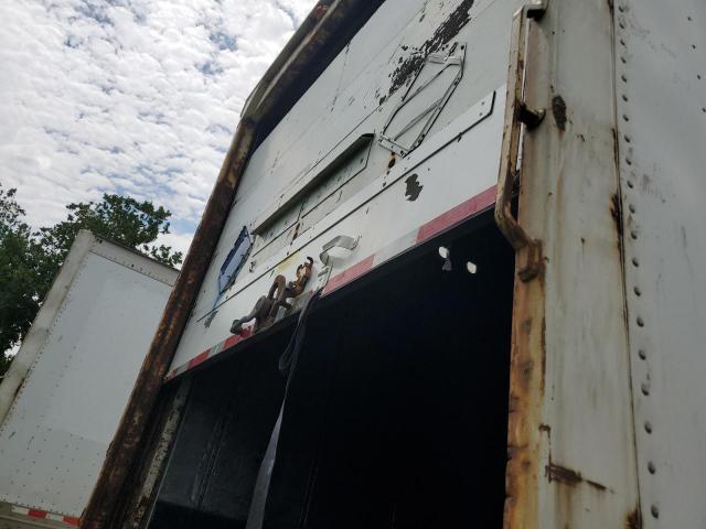 Great Dane Other Image 6