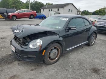  Salvage Volkswagen Beetle