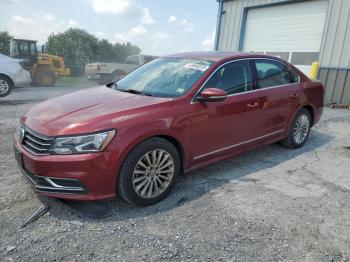  Salvage Volkswagen Passat