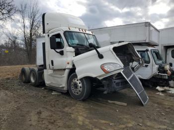  Salvage Freightliner Cascadia