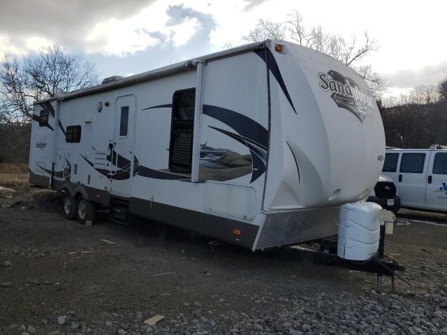  Salvage Wildwood Sandpiper
