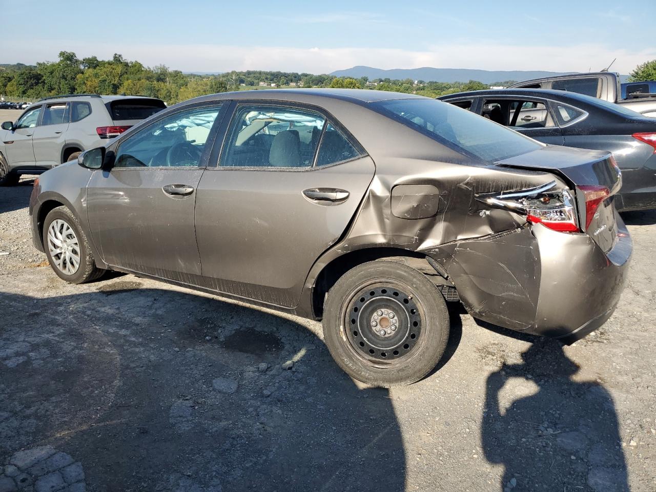 Toyota Corolla L Image 8