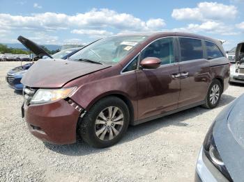  Salvage Honda Odyssey