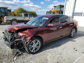  Salvage Nissan Maxima