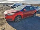 Ford Focus Se Image 1