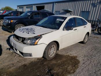  Salvage Ford Focus
