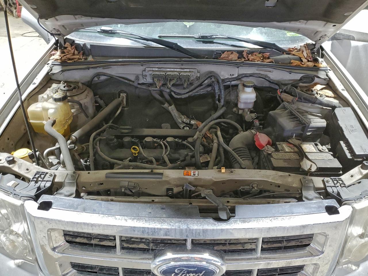 Ford Escape Limited Image 11