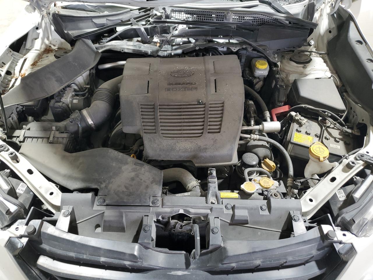 Subaru Forester Limited Image 12