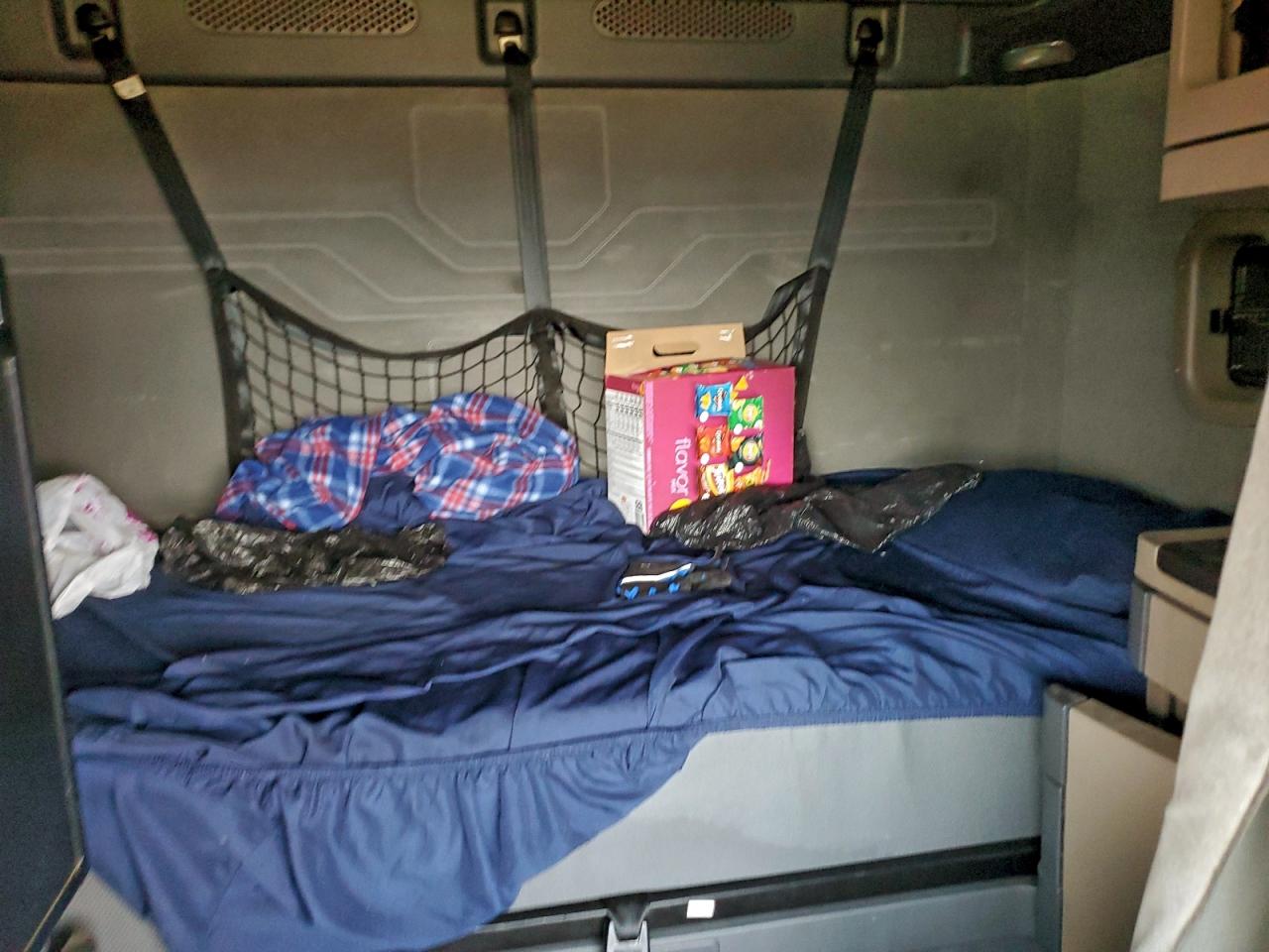 Freightliner Cascadia 1 Image 3