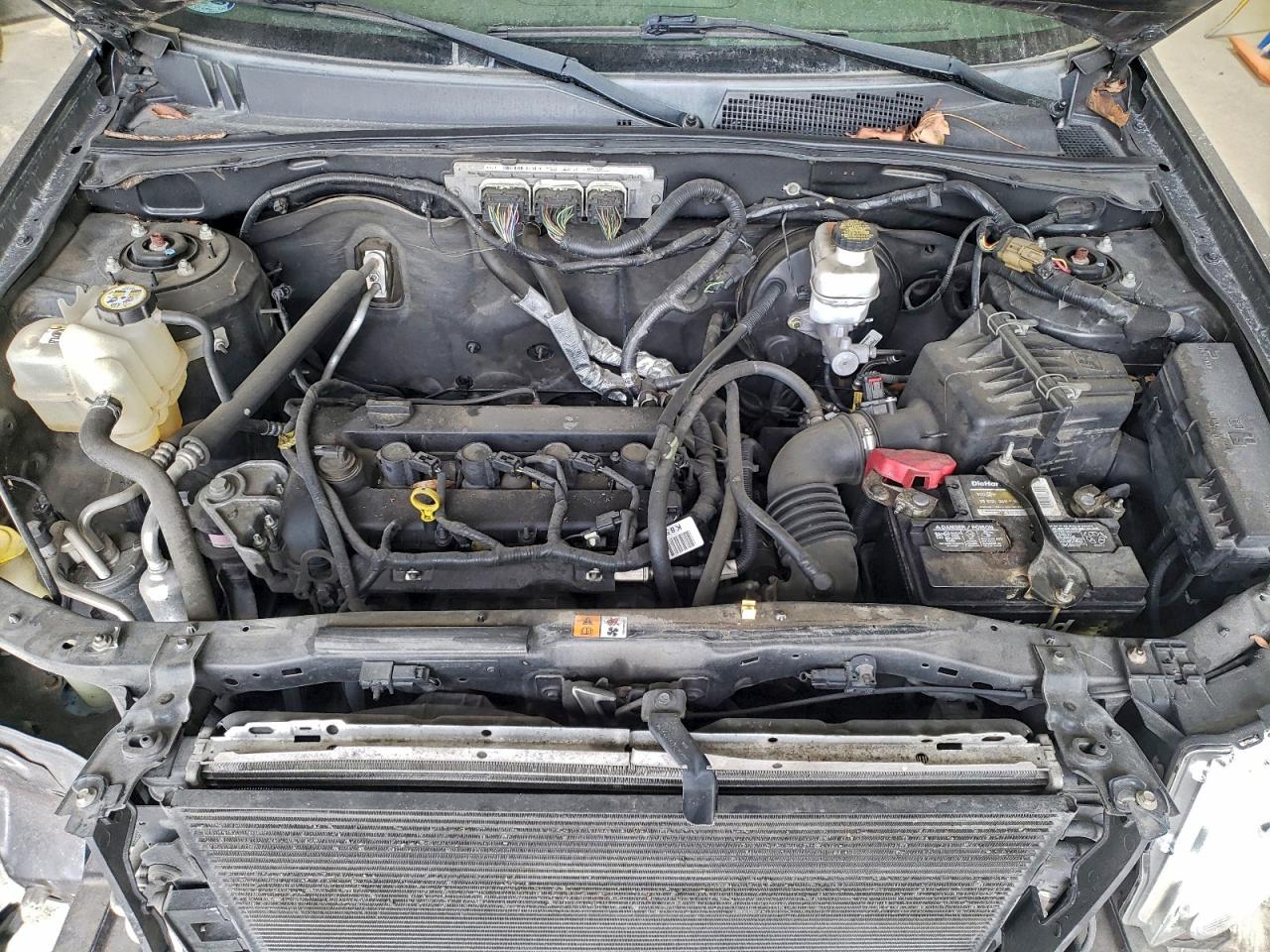 Ford Escape Xlt Image 6