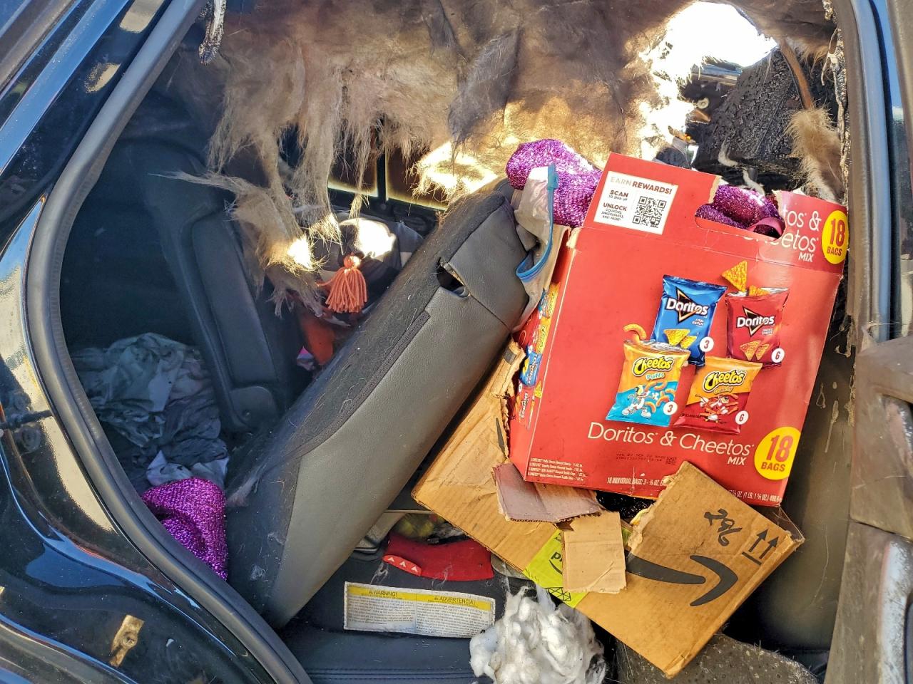 Mazda Cx Gt Image 11