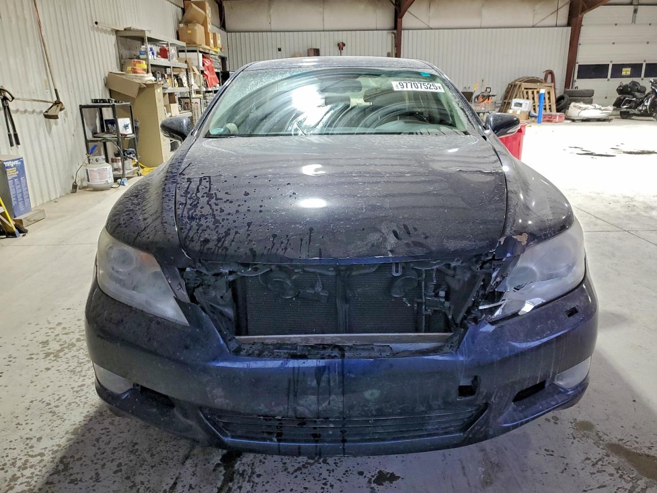 Lexus LS 460 Image 10