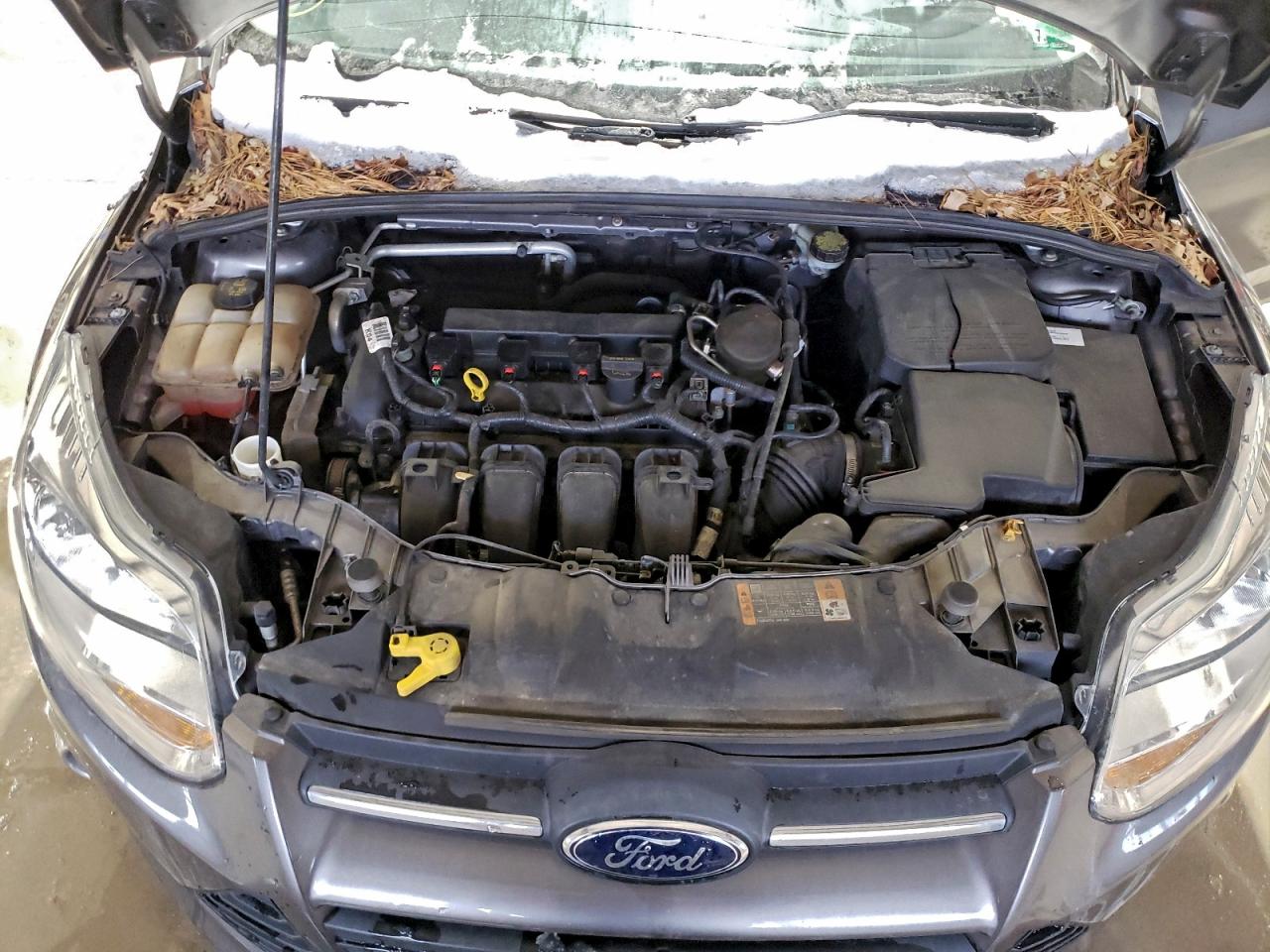 Ford Focus Se Image 8